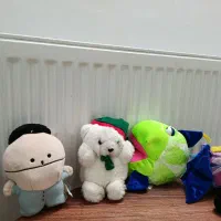 عروسک|اسباب‌بازی بچه|قم, پردیسان|دیوار