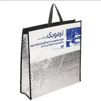ترموبگ کیف عایق همراه با یخ خشک|آرایشی، بهداشتی، درمانی|تهران, دستغیب|دیوار