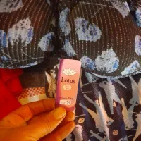 سوتین مجلسی جک دار|لباس|ارومیه, |دیوار