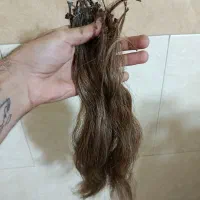 100شاخه موی طبیعی اکستنشن سرکراتین آماده نصب|آرایشی، بهداشتی، درمانی|اندیشه, اندیشه فاز ۱|دیوار