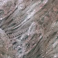 پارچه مجلسی