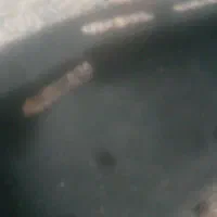 فروش روداشوردپرایدی