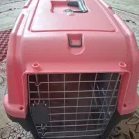 باکس نو