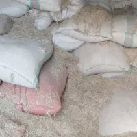 کاه گندم|حیوانات مزرعه|چگنی, |دیوار