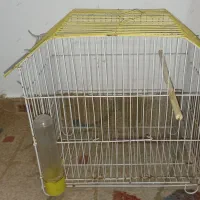 قفس پرنده