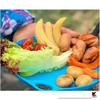 بشقاب سفری کچوا و باتوم کوهنوردی|کوهنوردی و کمپینگ|شیراز, شهرک استقلال|دیوار