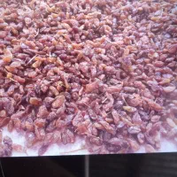 کشمش درجه یک عنابی
