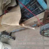 چرخ میوه فروشی کاسبی فروش فوری|فروشگاه و مغازه|کرمانشاه, |دیوار