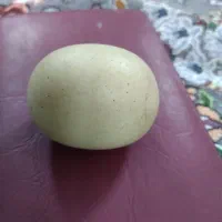 سنگ اسیاب یاهمان سنگ ساروچ سنگ الماس|کلکسیون اشیاء عتیقه|تهران, تهران پارس|دیوار