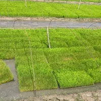 جذب کارشناس فروش
