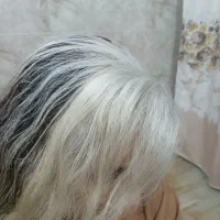 آموزش حضوری رنگ و لایت|خدمات آموزشی|زابل, |دیوار