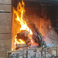 فروش لوازم کامل ویکجا پیتزا فروش