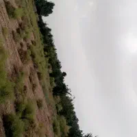 تلمبه|فروش خانه و ویلا|نگار, |دیوار