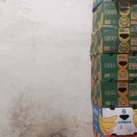 کارتن موزی موجود دونه ای 140 تومان کمتر از بازار