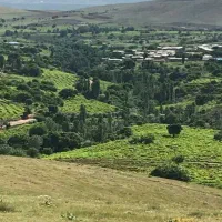 خانه نقلی روستایی ابهر