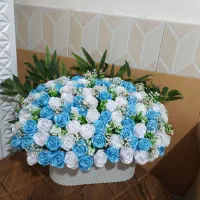 رز قرمز با ما بدرخشید