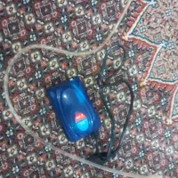 اکواریوم .|ماهی|مرند, |دیوار