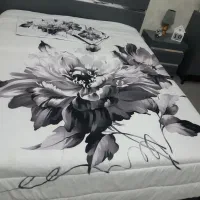 روتختی|سرویس روتختی|مشهد, سرافرازان|دیوار