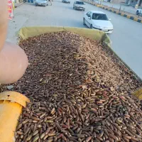 بلوط درجه یک تحویلی حدود 13تن دارم