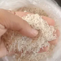 برنج‌فجرسوزنی