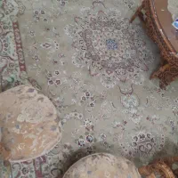 قالی ۱۲ متری