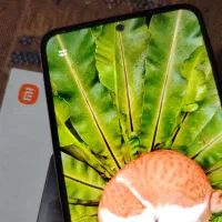 نوت 12 256 رم 8 طلایی|موبایل|زاهدان, |دیوار