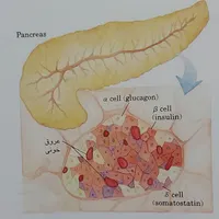 تدریس زیست شناسی به صورت تخصصی