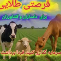 فرصت مشارکت در سرمایه گذاری