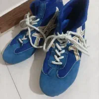 کفش کشتی درحدنو