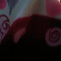 ژانومه۸۰۴