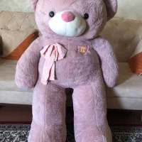 شاسخین
