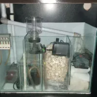 آکواریوم سامپ دار آبشور|ماهی|رباط‌کریم, شهرک والفجر|دیوار