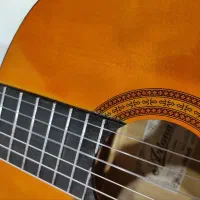 گیتار آریا ak15*طراحی کلاسیک با کیفیت ساخت بی‌نظیر|گیتار، بیس، امپلیفایر|تهران, استقلال|دیوار