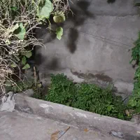 واحد اجاره مطهری 9|اجارهٔ خانه و ویلا|رفسنجان, |دیوار