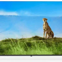 فروش ویژه تلویزیون هوشمند ۵۵ اینچ|تلویزیون و پروژکتور|قزوین, |دیوار