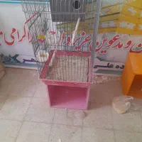 قفس کاسکویی