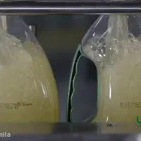 کارخونه روغن|استخدام صنعتی، فنی، مهندسی|اردبیل, |دیوار