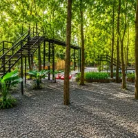 دارایی-با-چشم-انداز-رشد
