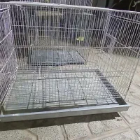 قفس پرنده