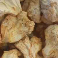 قارچ شاه صدف و صدفی، قارچ یال شیر و شیتاکه دررشت|خوردنی و آشامیدنی|رشت, گلسار|دیوار