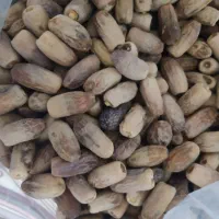 خرما سفید|خوردنی و آشامیدنی|فهرج, |دیوار