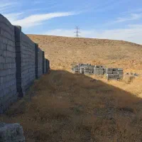 فروش فوری زمین باغی کاهو ۶۰۰متری|فروش زمین و ملک کلنگی|گلمکان, |دیوار