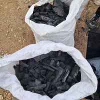 زغال گردو بادوم  کباب