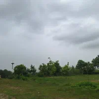 زمین مسکونی ویلائی دارای مرکبات|فروش زمین و ملک کلنگی|گلوگاه بابل (گلیا), |دیوار