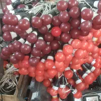 فروش اجاره ریسه لامپ چراغانی|ریسه و چراغ تزئینی|مشهد, شهید هاشمی نژاد|دیوار