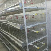 قفس مرغ تخمگذار ،قفس بلدرچین ،کبک|لوازم جانبی حیوانات|قم, نیروگاه|دیوار