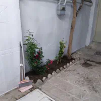 حیاط در بستی دو طبقه|اجارهٔ خانه و ویلا|تهران, بیسیم|دیوار