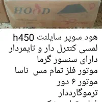 هود|هود|گرگان, |دیوار