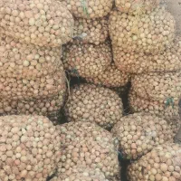 پباز درجه یک|خوردنی و آشامیدنی|شیروان (خراسان), |دیوار