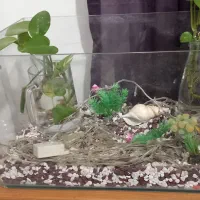 آکواریوم با وسایل